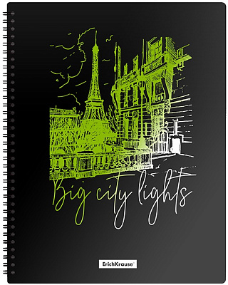Папка  40 файлов, размер 315х245х10мм, толщина 500 мкр, ErichKrause Night Lights, на спирали, черный/зеленый,из высококачественного пластика с текстурой поверхности "песок",