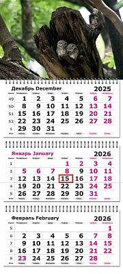 Календарь на 2026 г. квартальный 305х675 мм 3-х блочный на 3-х гребнях "Совушки", с бегунком и люверсом.